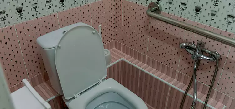 Meeting Diverse Needs With Accessible Restroom Solutions in Brossard, QC