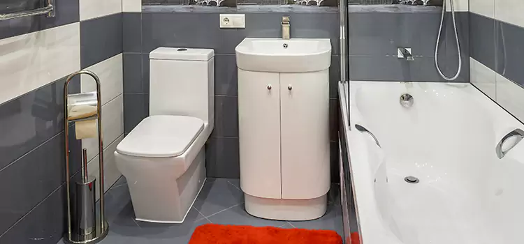 Hansgrohe Shaving Mirror Brossard